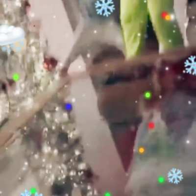 Lil bro get scraps with the grinch to protect his gifts 