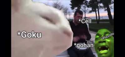 Goku be vibin tho