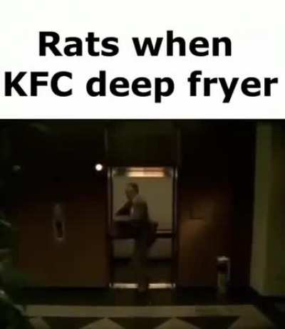 Rats when KFC deep Fryer