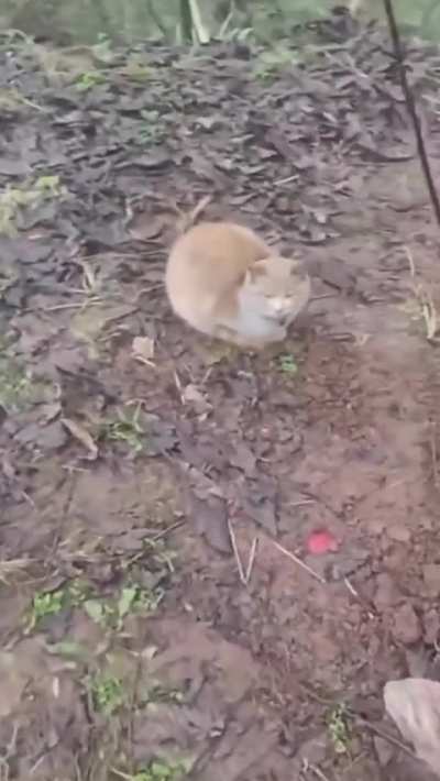 He lost his best friend