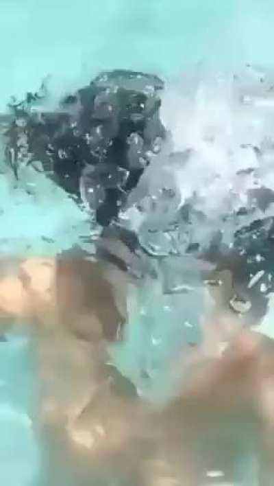 Pool Day