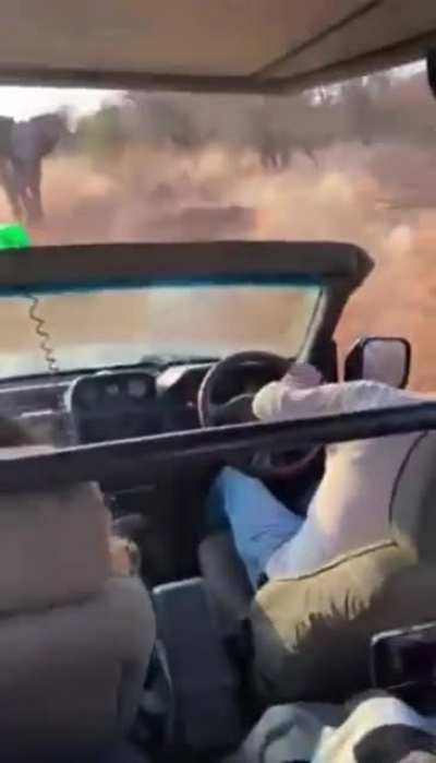 Relax Guys