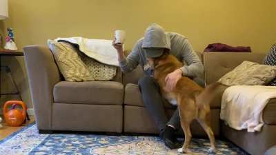 My dog gives “love bites” using only her front teeth