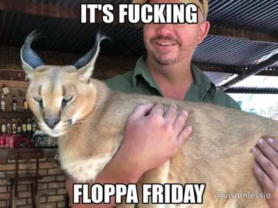 You know what day it is...