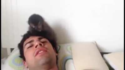 MACAQUIN BUNITIN FI