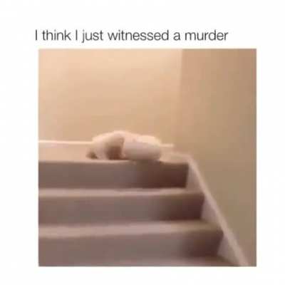 The Cute Play