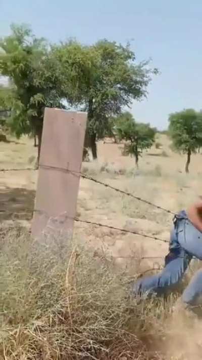 Barbed