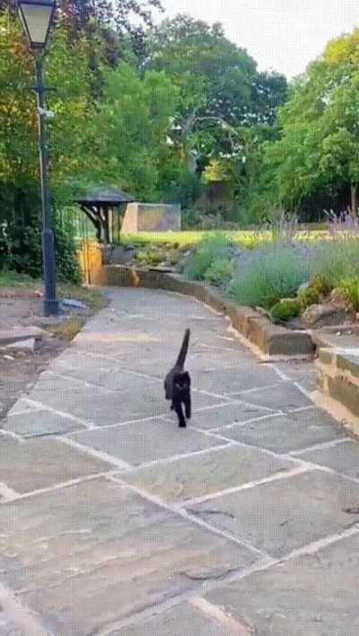 Where is he going like that?