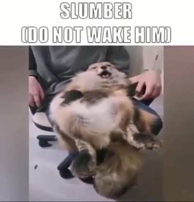 yes