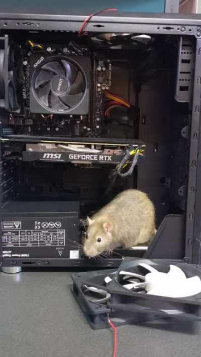 Not very tech savvy, but he sure is cute