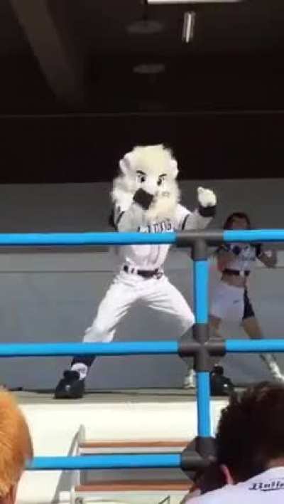 Leo_irl