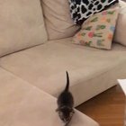 Wait for it