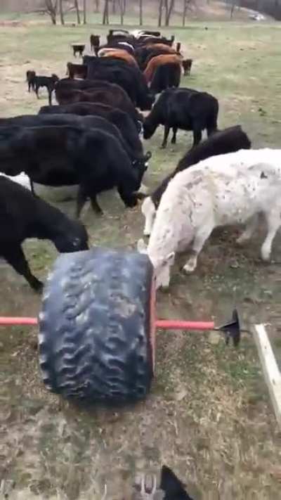 небол<wbr>ьшой перекус