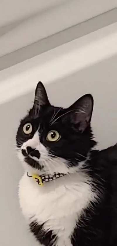 What am I doing in here