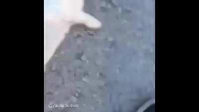 Sad but that ending...