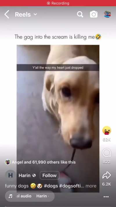 What is in your mouth?