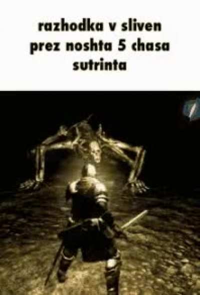 deiba