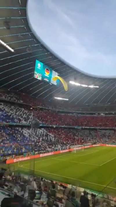 Greenpeace activist trying to land in stadion during European Football Championship game