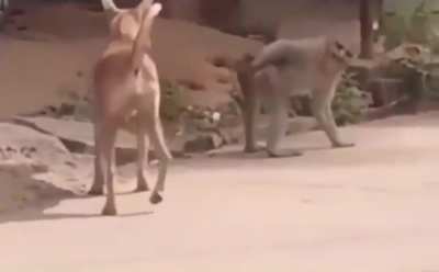 Опыт, сын ошибок трудных