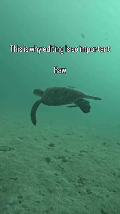 Why editing is important