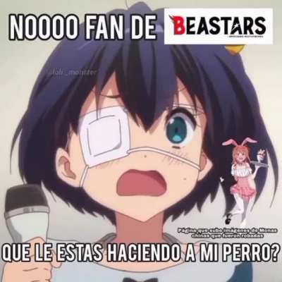 PARA WN