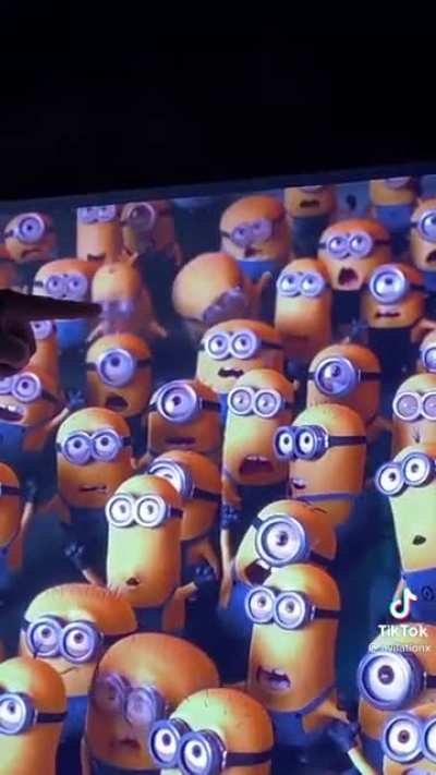 Minion gei