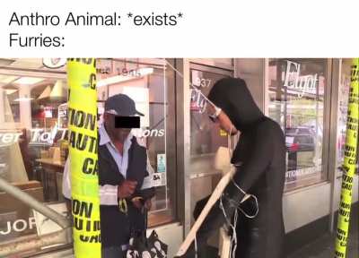 furries💯irl