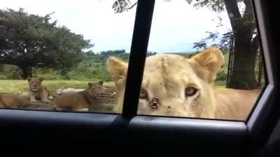 Hey there!!