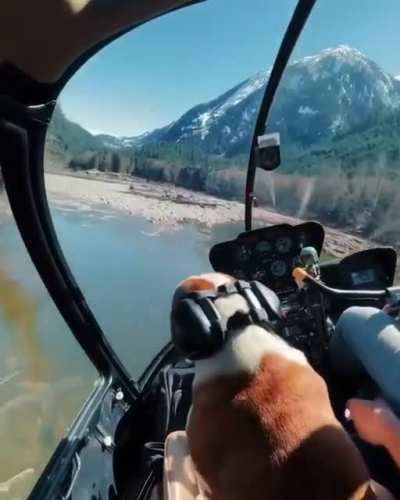 VNSU-AnLao Rate my flying