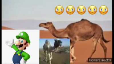 halman اشتعلت لويجي على شريط LUIGI CAUGHT on tape 4K 360p الجنس الابا<wbr>حية مثلي الجنس نص عربي هنا