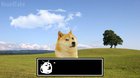 Doge Heads Out