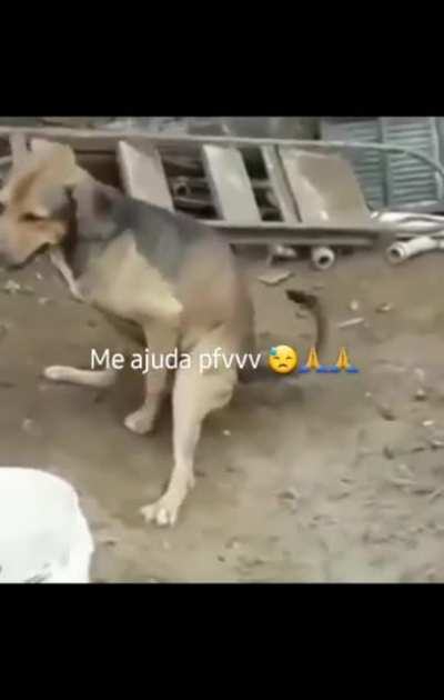 Tô viciado