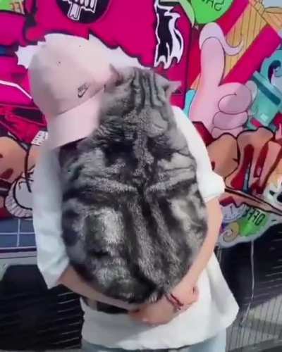 You have to carry it because it can’t walk.