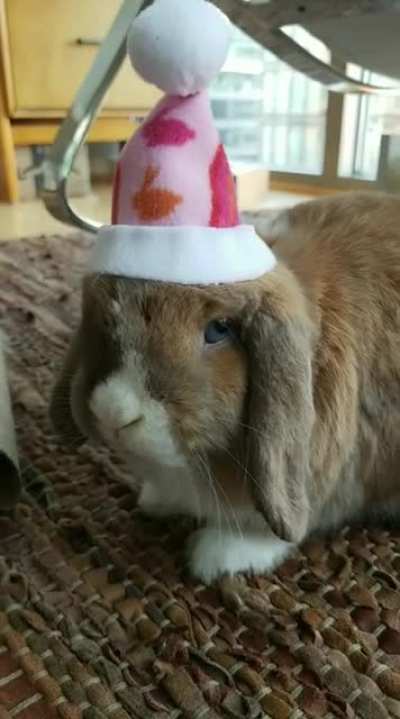 Bah! Humbug!