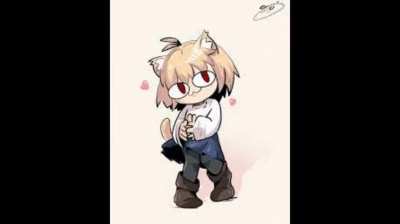 The cat