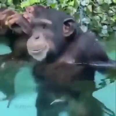 I enjoy monkeys
