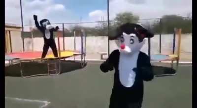 Ai pateta, solta o meu rabo
