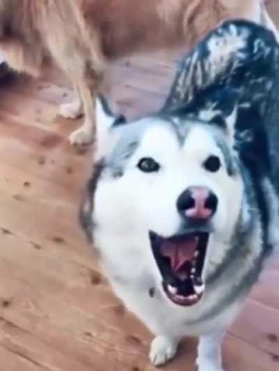 Let’s Me Sing You The Song Of My People.