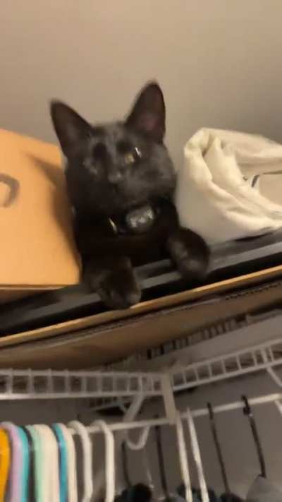 This guy never stops climbing.