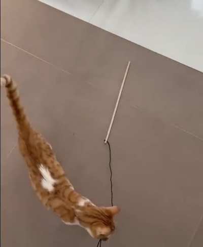 Play with me
