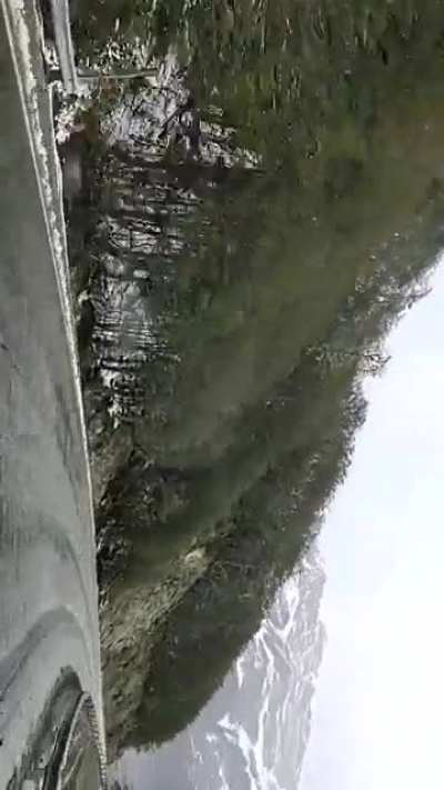 Hace un par de horas, paso Garibaldi, Tierra del Fuego