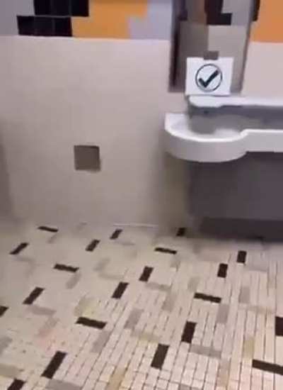 Kid destroys sink