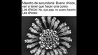 SquarePosting - 49