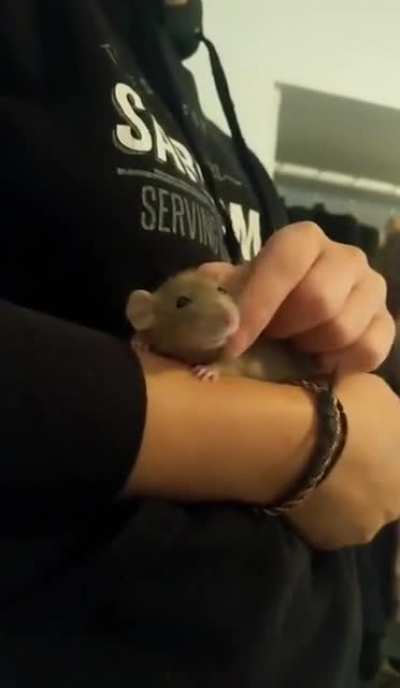 After her first birthday, she finally holds still long enough for me to squish and cuddle her. 🥰 Even though I am still afraid to break her, shes so smol!