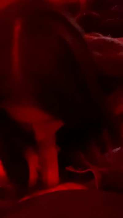 Blowjob GIF by victo<wbr>riaan<wbr>dpoe9<wbr>15