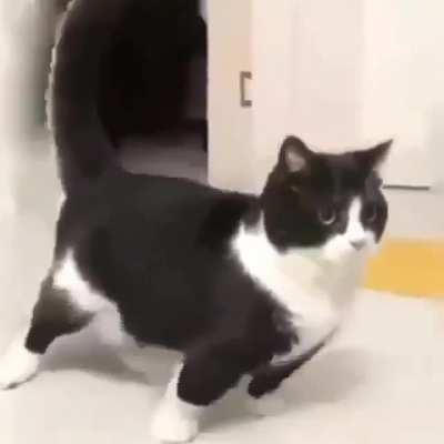 Me_irl