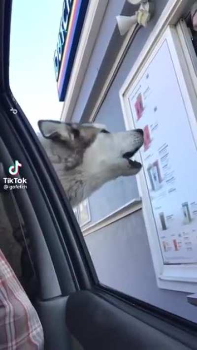Give him his Puppuccino dammit