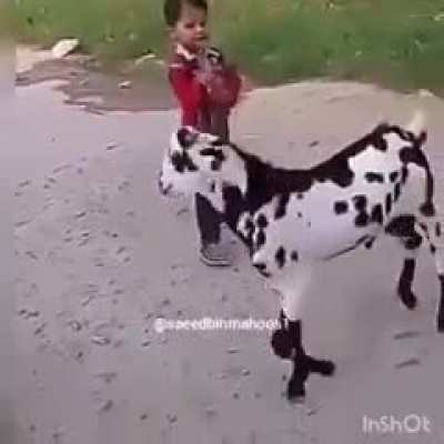 He deserved it.