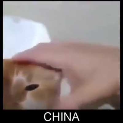 hcmorc