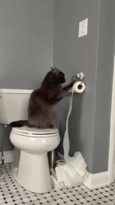 Absolute Asshole